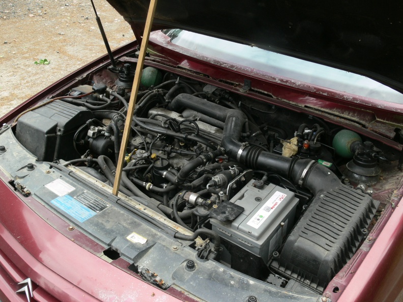 P1170603
