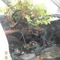 DSCN9955