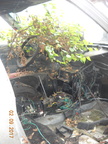 DSCN9955