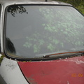 DSCN9956