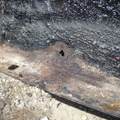 DSCN9715