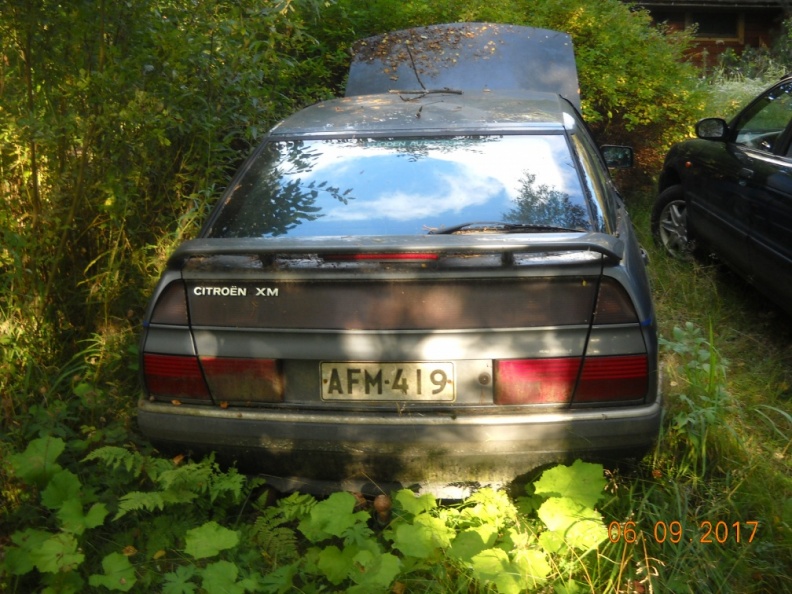 DSCN9994