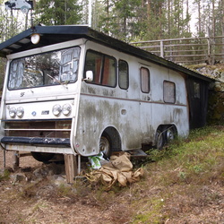 Kengurun kuvia