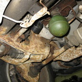 IMG_1111.JPG