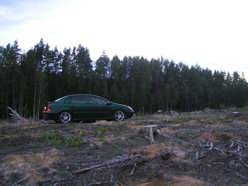 PICT2803.JPG