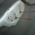 DSC00335.JPG