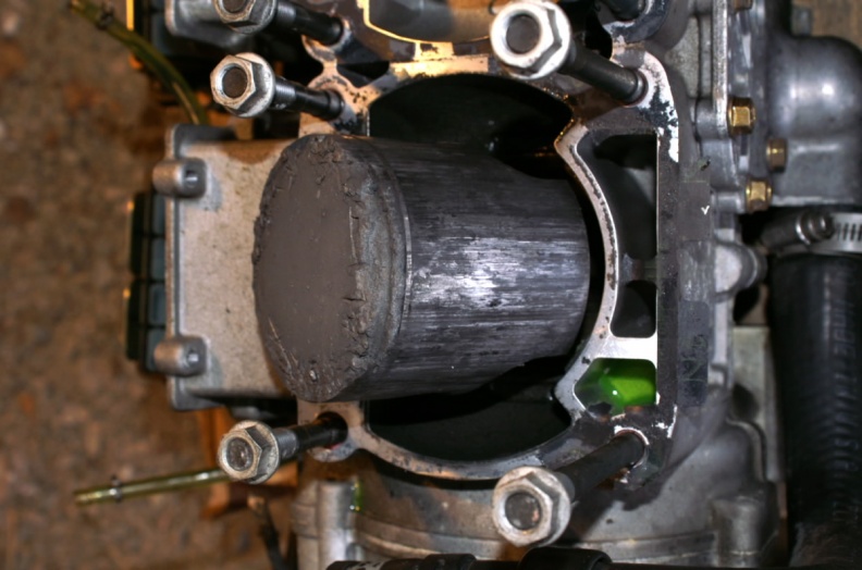 polle-m.2.JPG