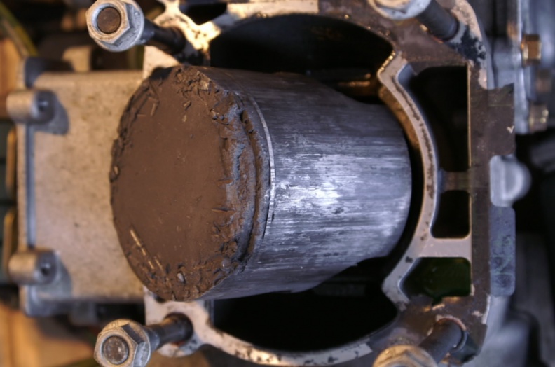 polle-m.3.JPG