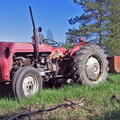 IMG 1760