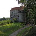 06.jpg