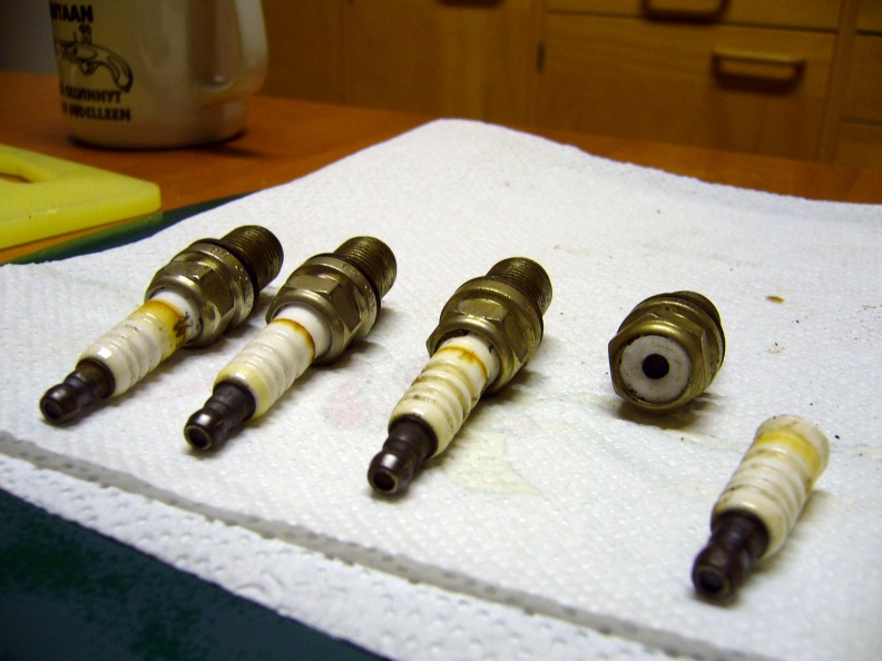 P1000836.JPG