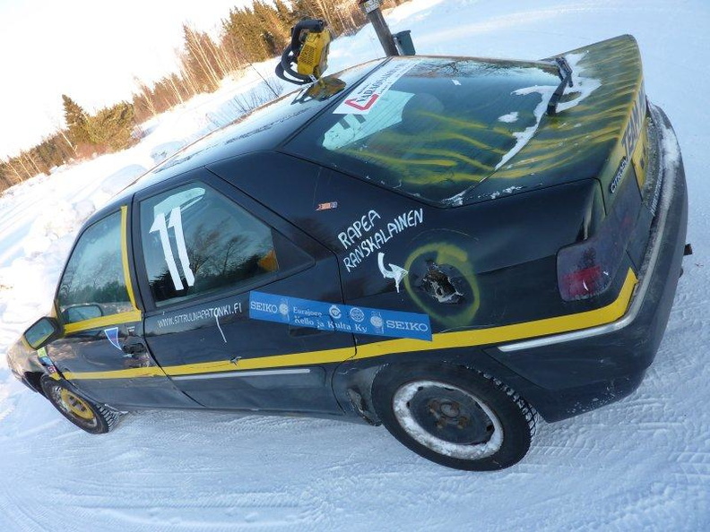 "Satasen Xanttu" peltokilpuri