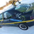 "Satasen Xanttu" peltokilpuri