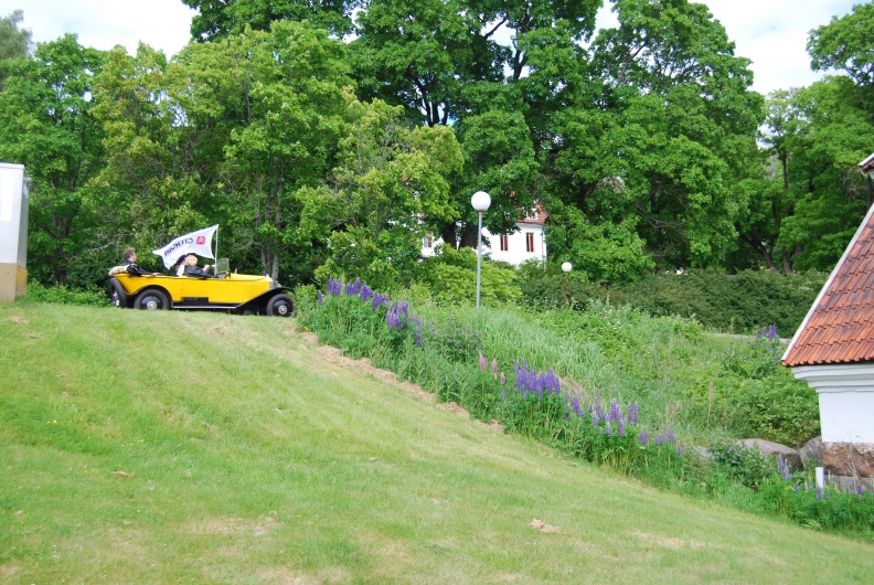 dsc_0041.jpg