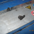 DSCN0791