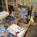 IMG 1400